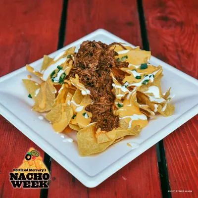 Barbacoa Beef Nacho